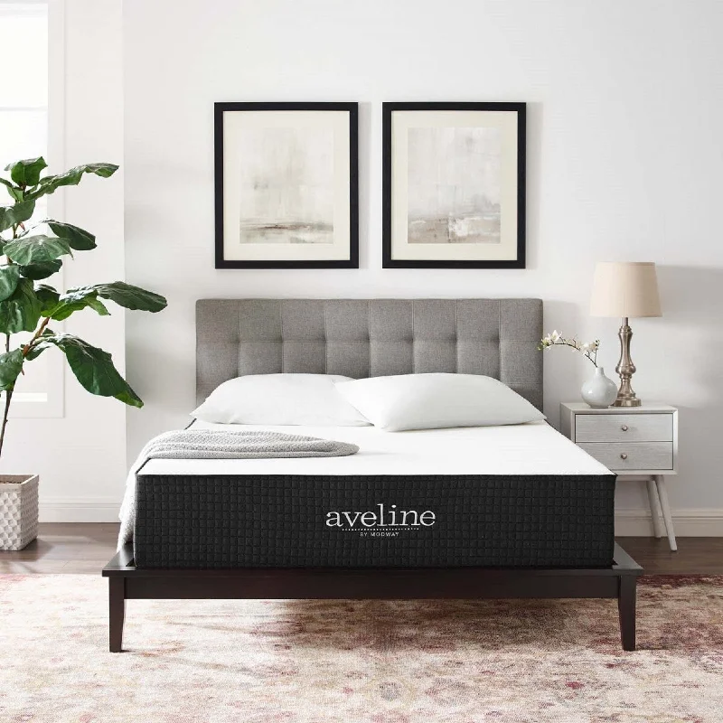 Queen - size mattresses for couples and standard bedroomsModway Aveline 12" Gel Infused Memory Foam Twin Mattress