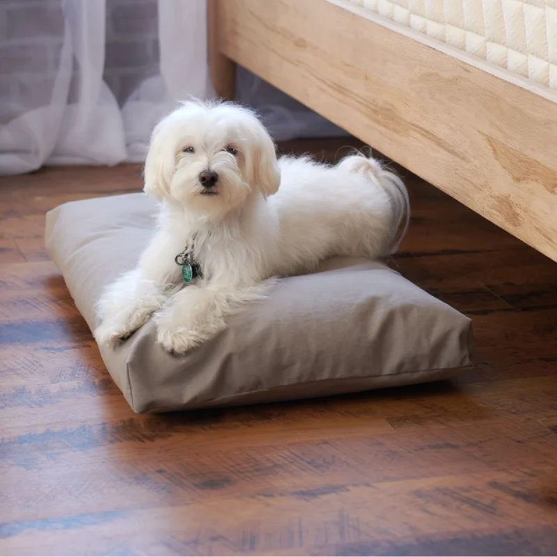 Memory foam mattresses for pressure relief and contouringOrganic Pet Bed with Washable Cover